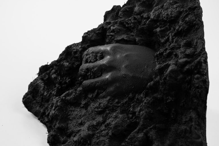 Manus Fossilia II