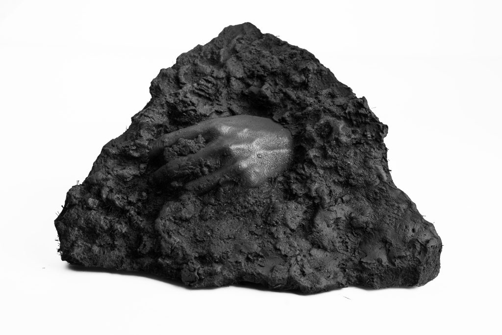 Manus Fossilia II