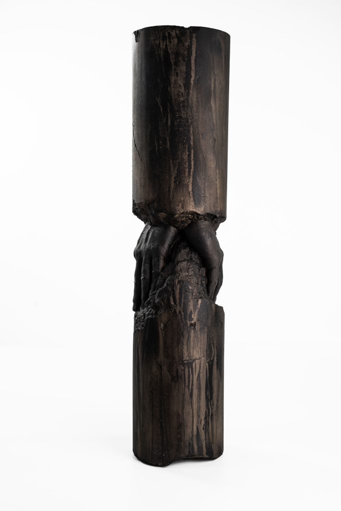 Manus Fossilia III
