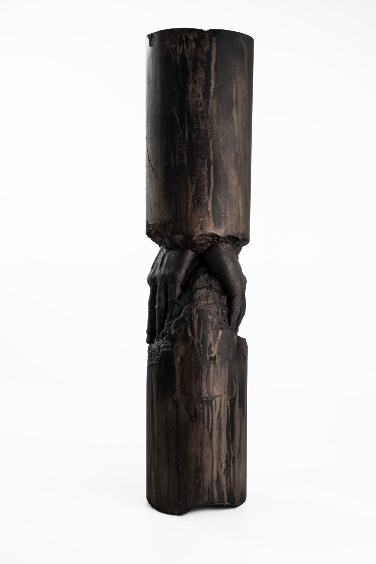 Manus Fossilia III
